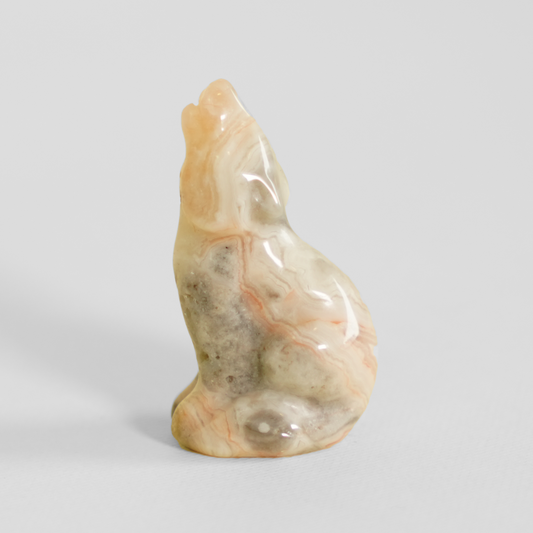 Crazy Lace Agate Wolf
