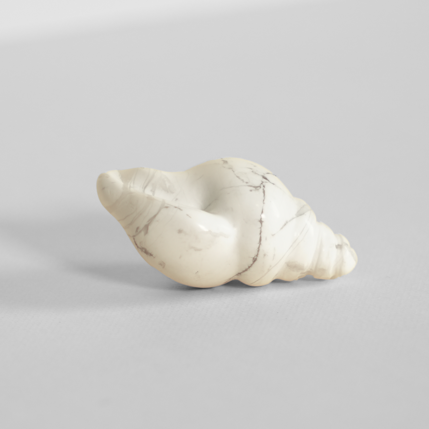 Howlite Shell