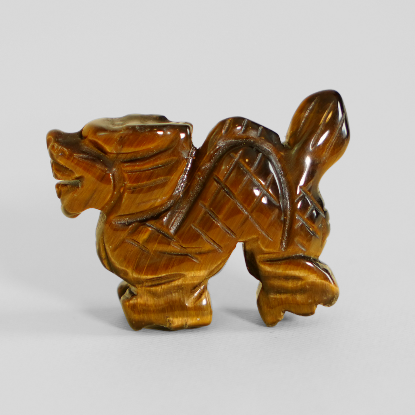Tiger Eye Dragon